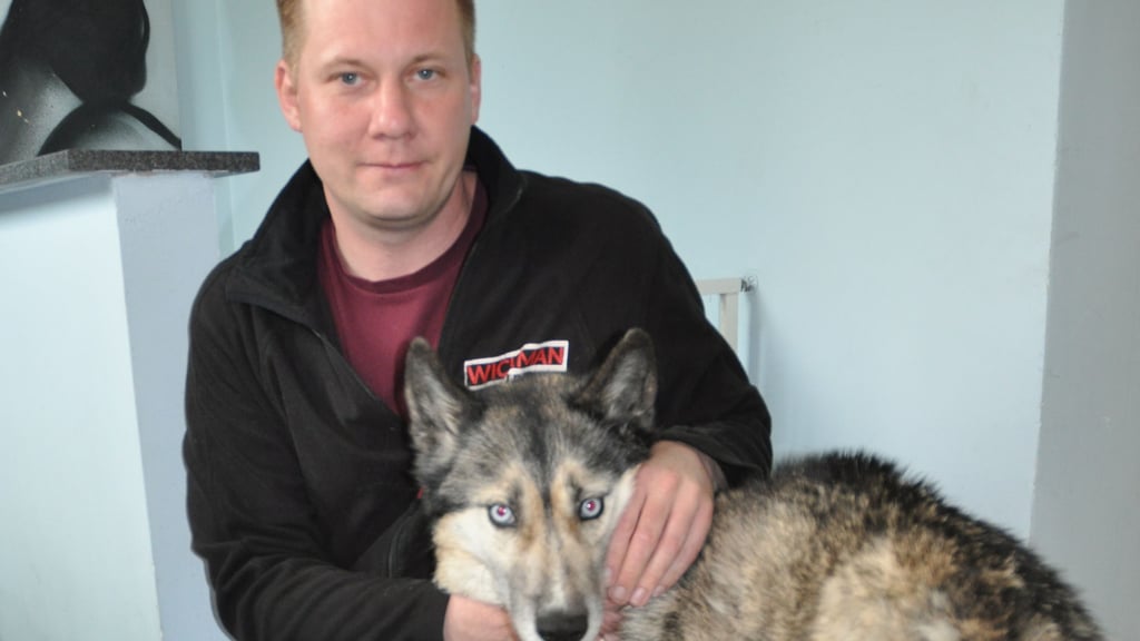 Ablenkung und Erholung findet Tatortreiniger René Wickert auch mit seiner Husky-Hündin Maxi. Foto: Elke Weisbach