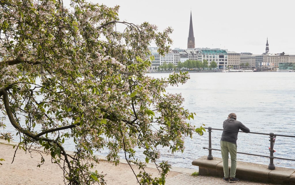 Am Freitag startet das Japanisches Kirschblütenfest samt Feuerwerk und der alljährlichen Wahl der Kirschblütenkönigin rund um die Alster in Hamburg.