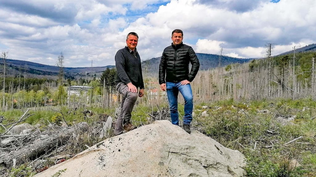 Nahe Schierke wurde reichlich Totholz entfernt. Nationalparkleiter Roland Pietsch (links) und Forstminister Sven Schulze (CDU) im Räumgebiet.