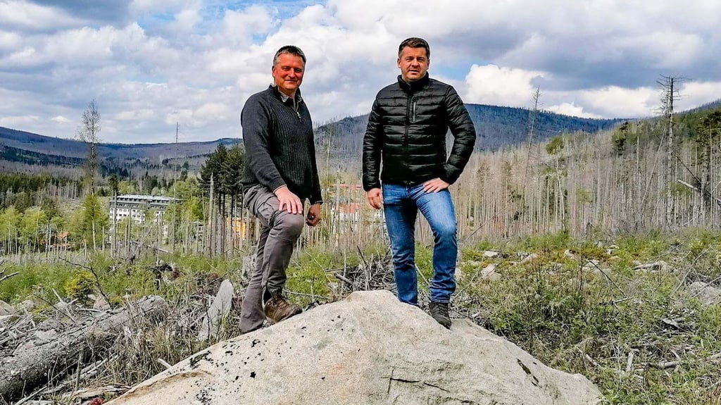 Nahe Schierke wurde reichlich Totholz entfernt. Nationalparkleiter Roland Pietsch (links) und Forstminister Sven Schulze (CDU) im Räumgebiet.