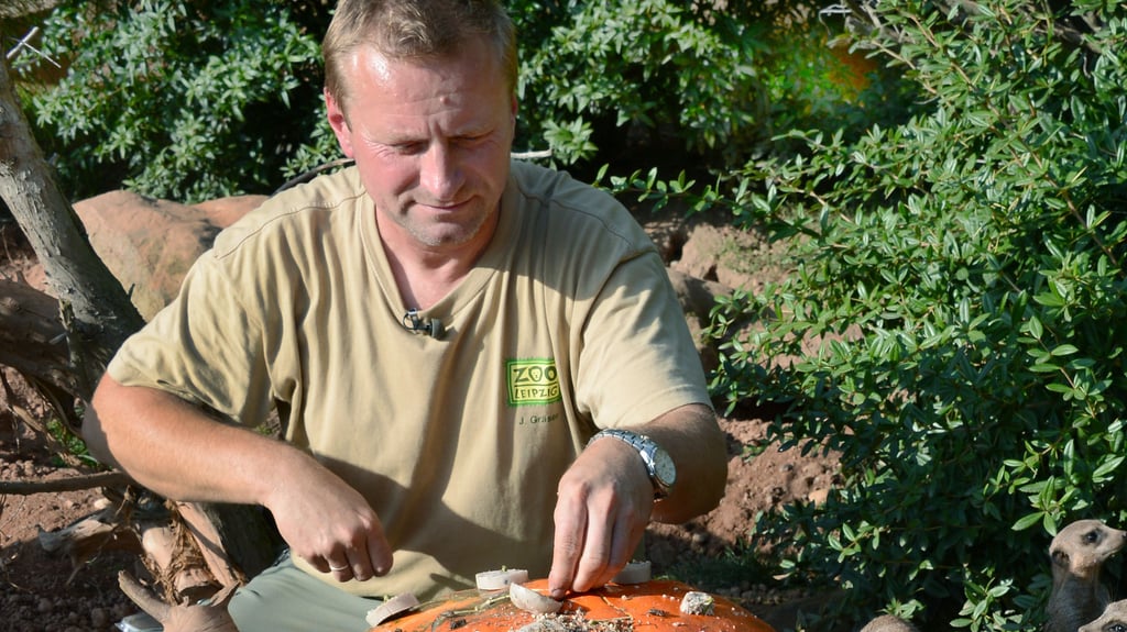 Tierpfleger Jörg Gräser machte sich im Zoo Leipzig einen Namen mit Basteleien zur Tierbeschäftigung. Inzwischen startet er mit seinem Hobby im Internet durch.