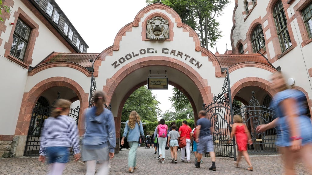 Der Zoo Leipzig hat mit Jörg Gräser einen bekannten Tierpfleger versetzt. Das sorgt für viele Spekulationen. 
