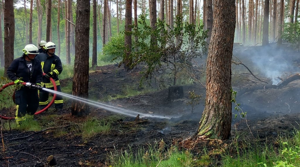 Mehrere Feuerwehren waren am Sonntag im Einsatz in Genthin-Wald.
