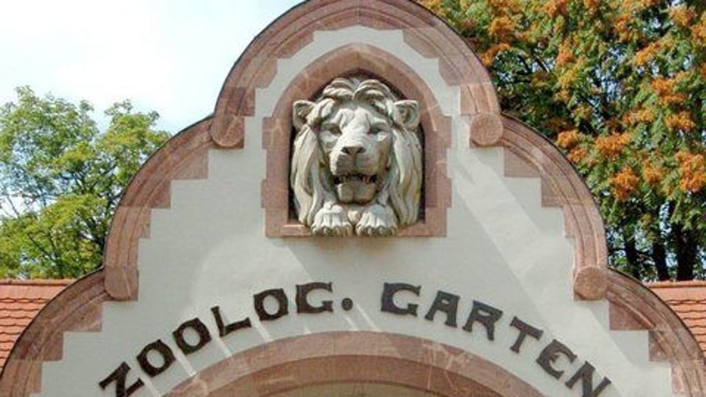 Nach der Versetzung des Löwen-Tierpflegers Jörg Gräser gibt es rund um den Zoo Leipzig jede Menge Ärger, Gerüchte und Vorwürfe. 