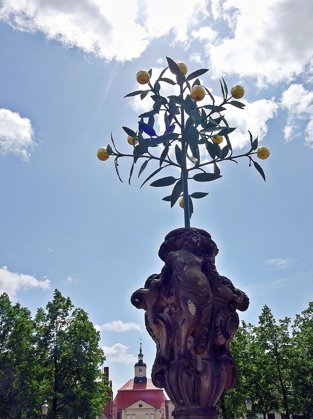 Der Orangenbaum auf dem Marktplatz
