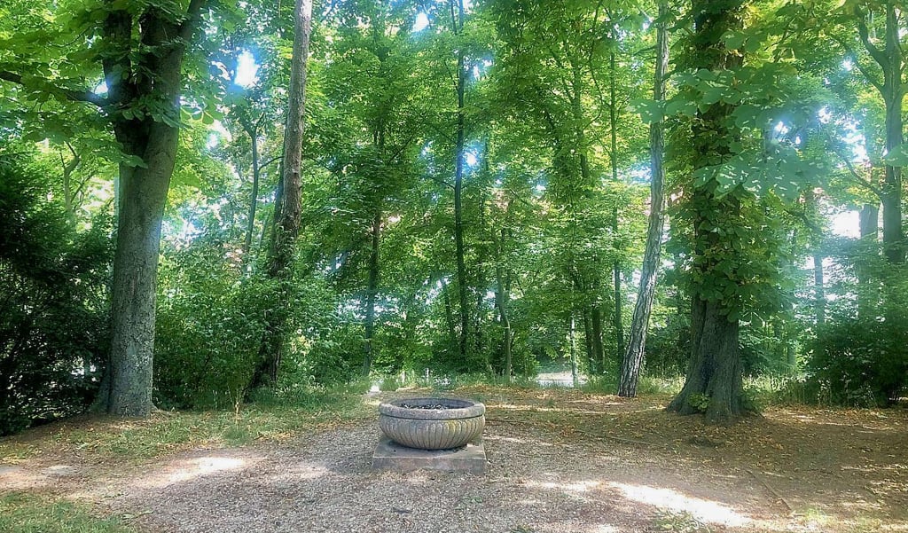 Die Reste einstiger Pracht und viele stattliche alte Bäume sind im Lenssenpark an der Geußnitzer Straße in Zeitz noch zu finden.
