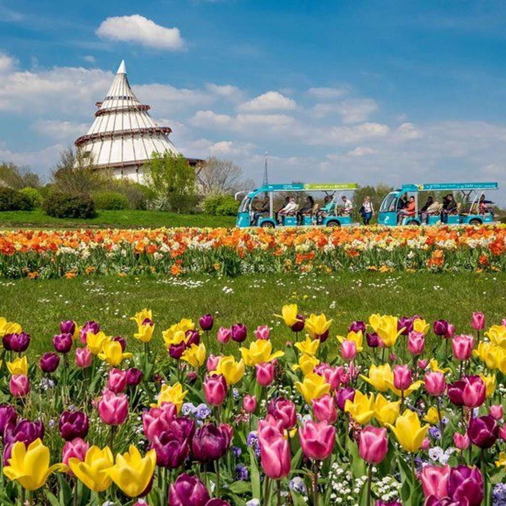 Bei schönem Wetter lohnt sich zum Beispiel eine Reise in den Magdeburger Elbauenpark.