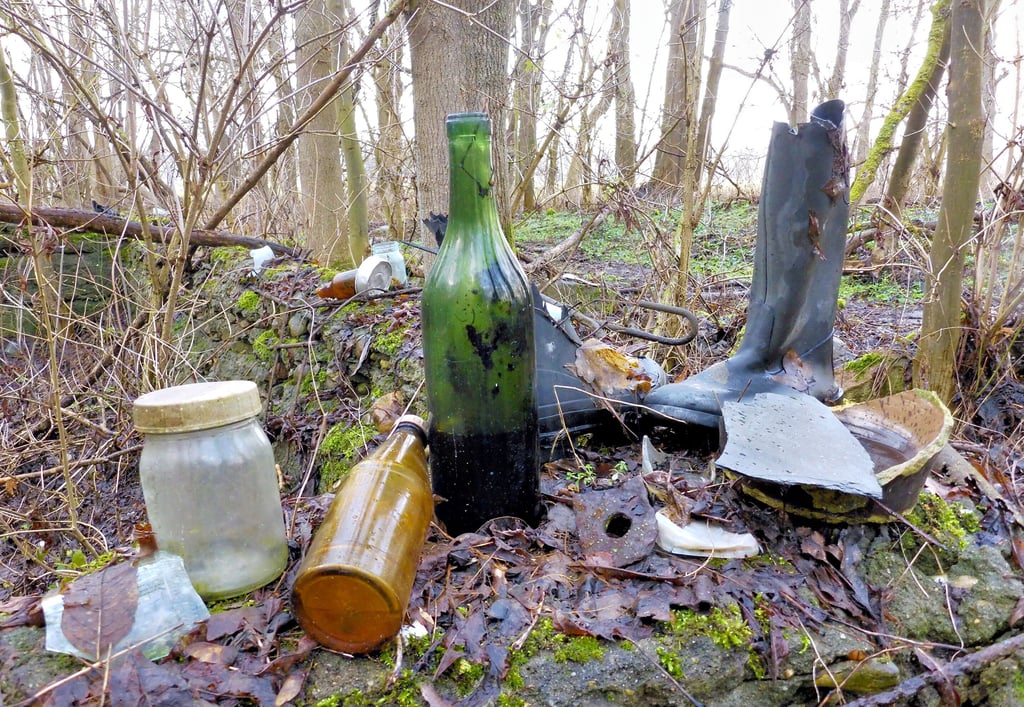 Die Wüstung Jahrsau bei Jeebel in der Altmark