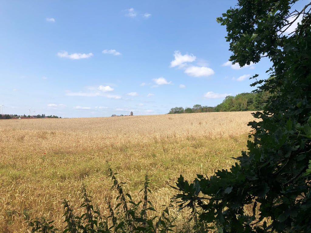 Symbolfoto - Das Gelände am Hagenberg mit Blick zu Burg und Schloss Allstedt