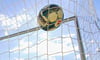 Ein eigener Bolzplatz mit Fußballtor soll Kindern und Jugendlichen in Ermsleben eine Alternative bieten, damit sie nicht auf dem Vereinsrasen bolzen.