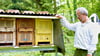 Hobbyimker Sigmar Pöhlke hat den „Autobienen“ in der gelben Beute ein neues Zuhause gegeben.