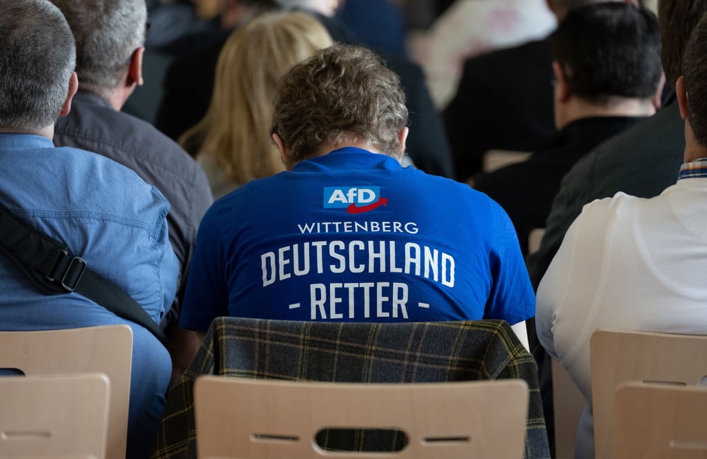 AfD-Anhänger aus Wittenberg. Im Rechtsstreit um die Einstufung als rechtsextremer Verdachtsfall lässt die Partei ihre Klage gegen das Land vorerst ruhen.