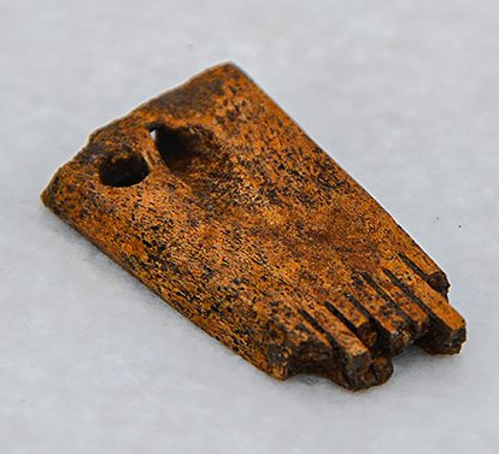 Archäologische Ausgrabung entlang der künftigen A14 zwischen Seehausen (Altmark) und Landesgrenze zu Brandenburg: Das Fragment eines mittelalterlichen Flachskamms aus Knochen. Zu sehen ist der Griff des Kamms.