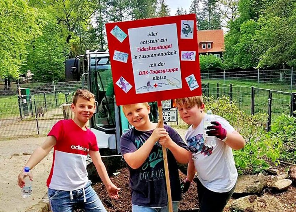 Die DRK-Tagesgruppe baut einen Eidechsenhügel in Klötzer Tiergarten.