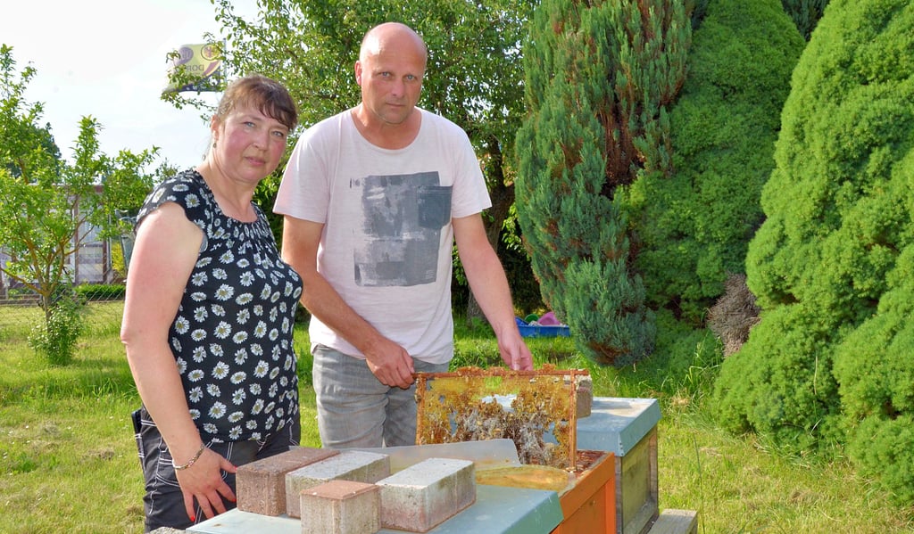 Kerstin Werner und Volker Nothnagel vom Kleingartenverein „Erholung“ in Oschersleben freuen sich schon auf den eigenen Honig. Davor müssen etwa noch die Bienenstöcke des Vorbesitzers ersetzt werden.