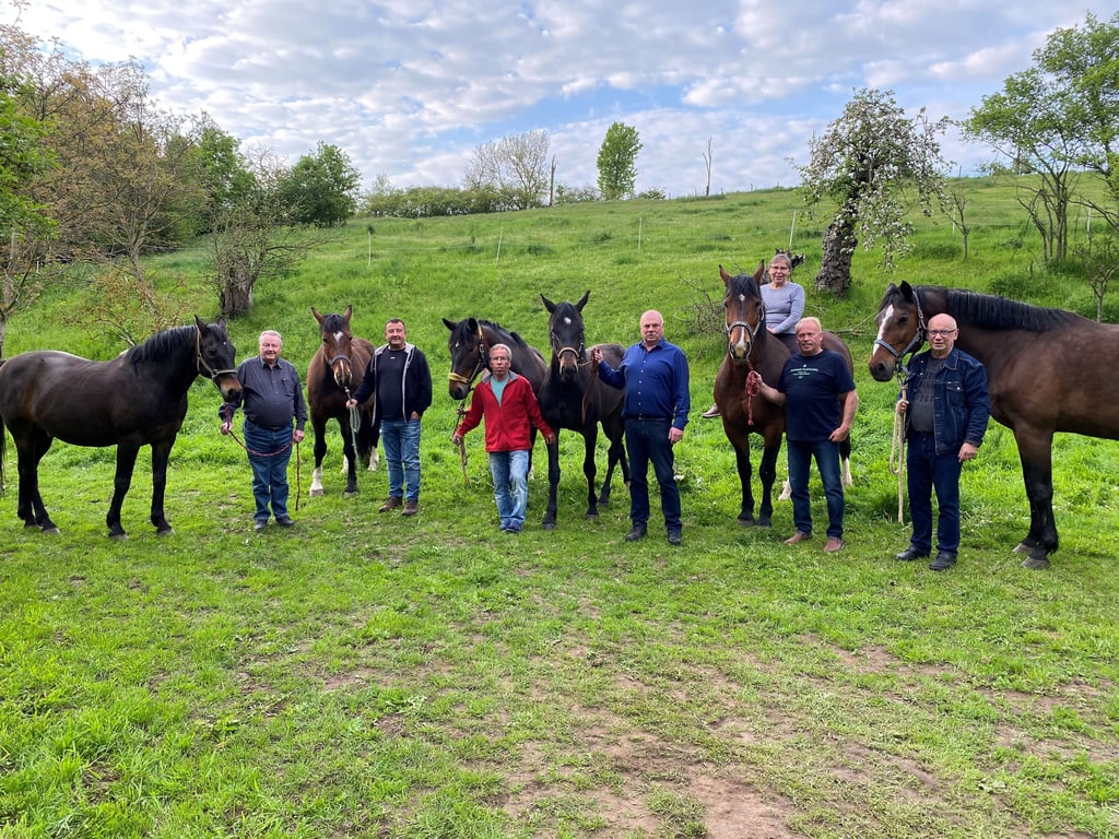 Die Reiter der ehemaligen BSG Traktor Langendorf trafen sich nach fast 50 Jahren in Wiedebach wieder. Unter ihnen Jürgen Stier, Cornelius Geiger, Eike Otto, Andreas Kittel, Ines Böttcher, Heiko Seidel und Lutz Wilop (v.l.).