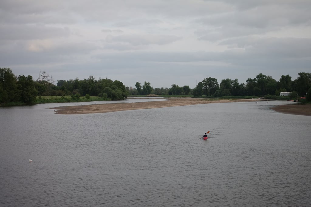 Blick auf die Alte Elbe in Magdeburg zwischen Cracauer Wehr und Rotehornparkspitze. Mit sinkendem Elbpegel wachsen die Sandbänke.