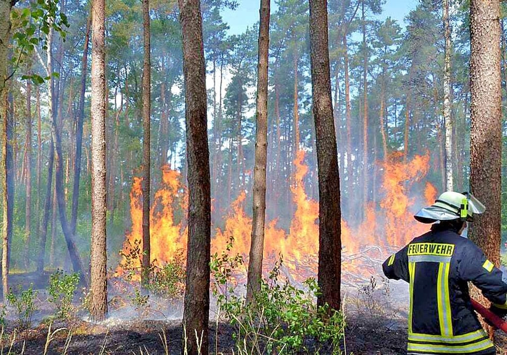 Hier ist die Feuerwehr bei einem Waldbrand zwischen Schönfeld und Wulkau im Einsatz, wo auch schon vor zwei Jahren ein Feuerteufel wütete.