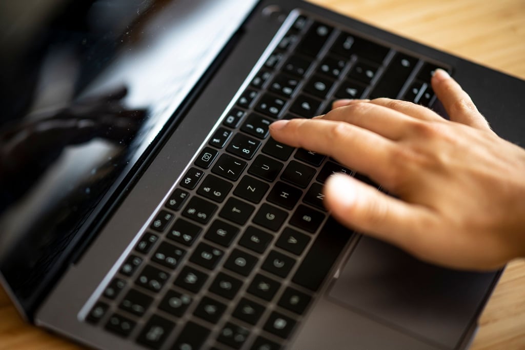 „Ein großer Gewinn für die Bürgerinnen und Bürger - und ein Meilenstein auf dem Weg zum digitalen Staat.“