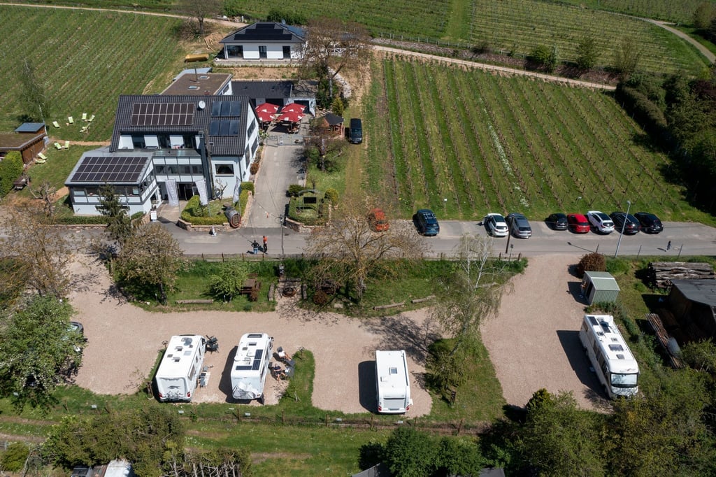 Wohnmobilstellplätze auf dem Gelände eines Weinguts im Rheingau.