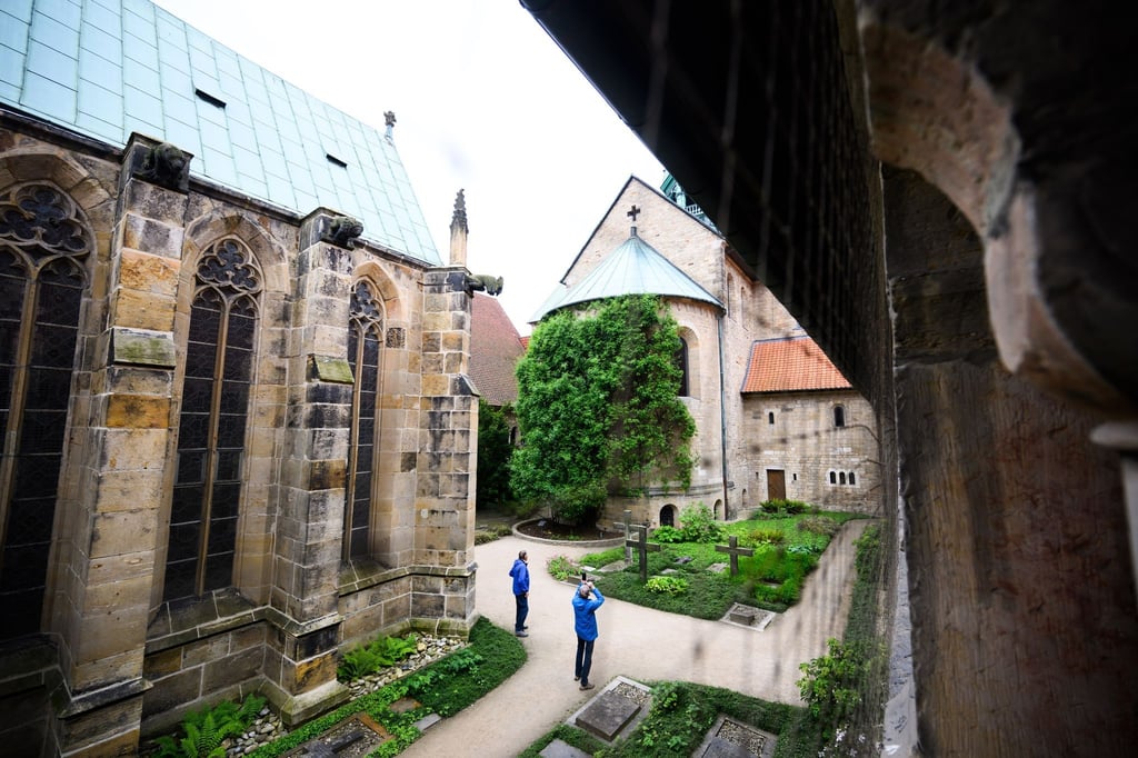 Besucher stehen vor dem "1000-jährigen Rosenstock" am Hildesheimer Dom.