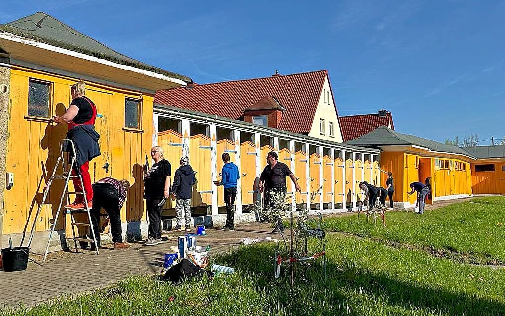 Die Roitzscher Karnevalisten haben die Türen der Kabinen im Volksbad Roitzsch gestrichen.