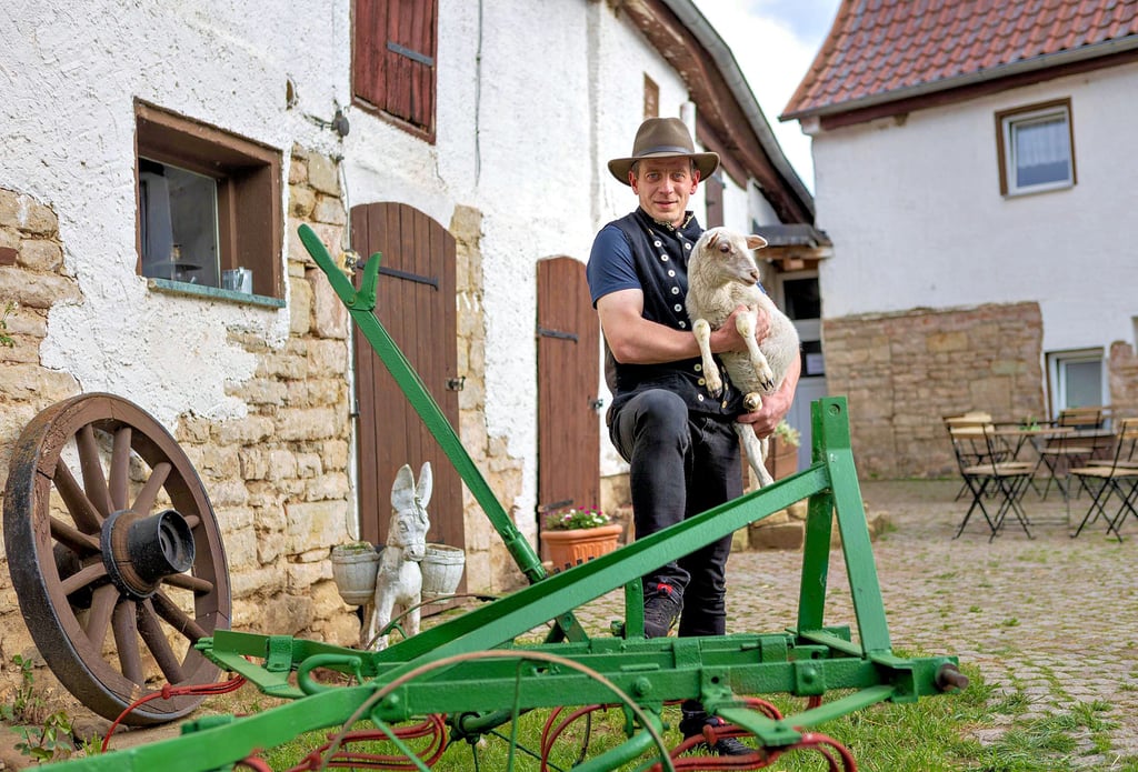 Der Schafhof von Eric Peter in Pötewitz erfreut sich zunehmender Beliebtheit bei Touristen.