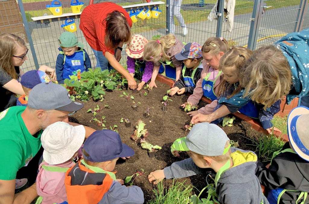 Jedes der Kinder aus der Holzdorfer Einrichtung „Am Wald“ buddelt sich ein Loch und setzt ein Pflänzlein hinein. Die Erwachsenen müssen kaum helfen.
