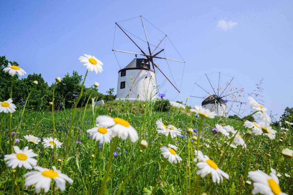 Mühlen stehen im Internationalen Mühlenmuseum Gifhorn.