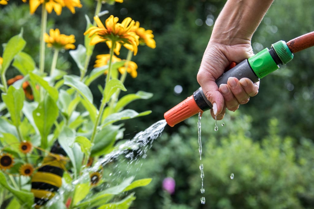Selbst Gartenpflanzen brauchen in trockenen Zeiten unsere Hilfe und Gießwasser. Aber man kann ihnen helfen, sich besser selbst versorgen zu können.