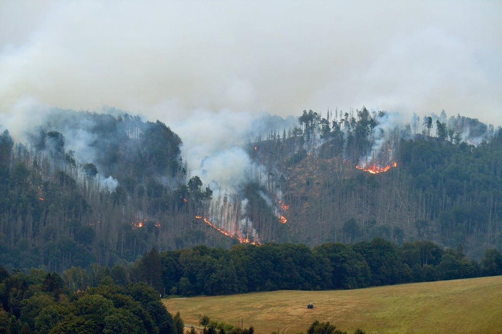 Rauch und Flammen wüten während eines Waldbrandes.