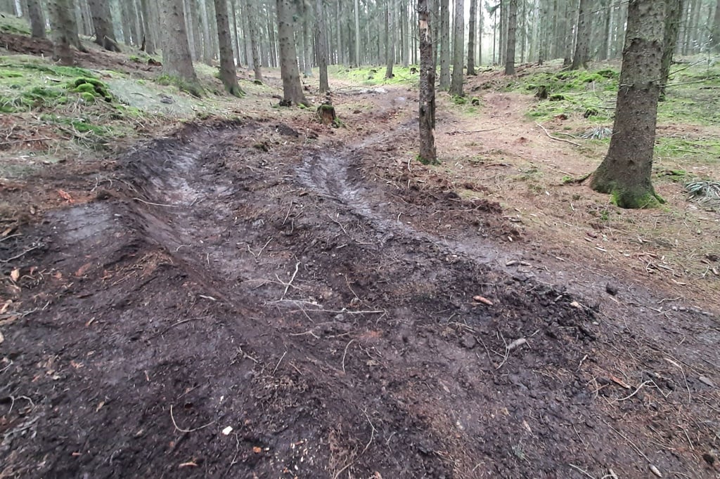 Eine illegal angelegte Spur zum Mountainbikefahren.