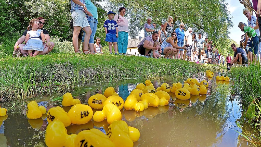 In Westdorf sind auch in diesem Jahr wieder die Enten los.
