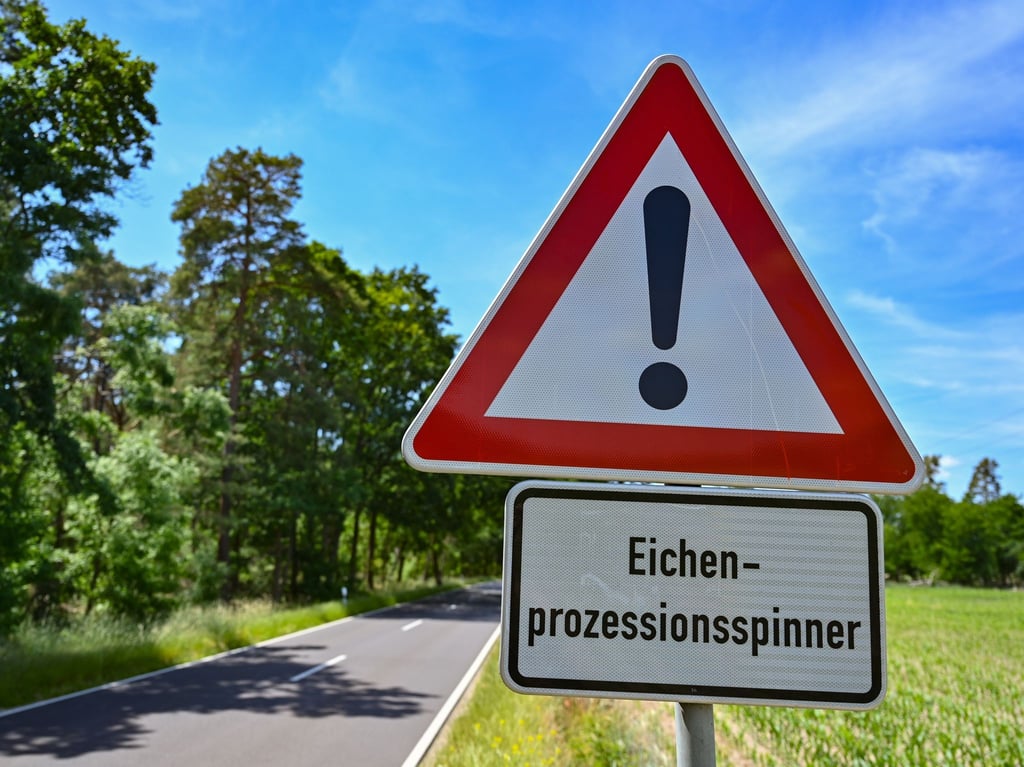 Ein Warnschild mit der Aufschrift „Eichenprozessionsspinner“ steht an einer Straße.