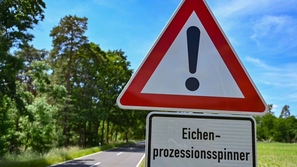 Ein Warnschild mit der Aufschrift „Eichenprozessionsspinner“ steht an einer Straße.