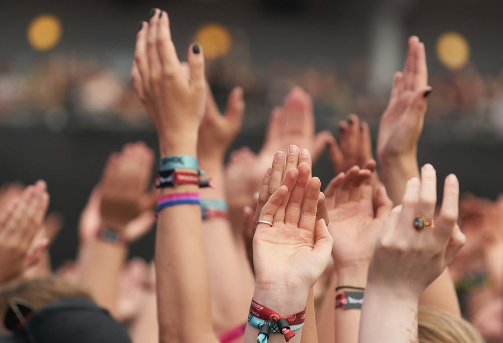 Fans feiern bei einem Konzert.