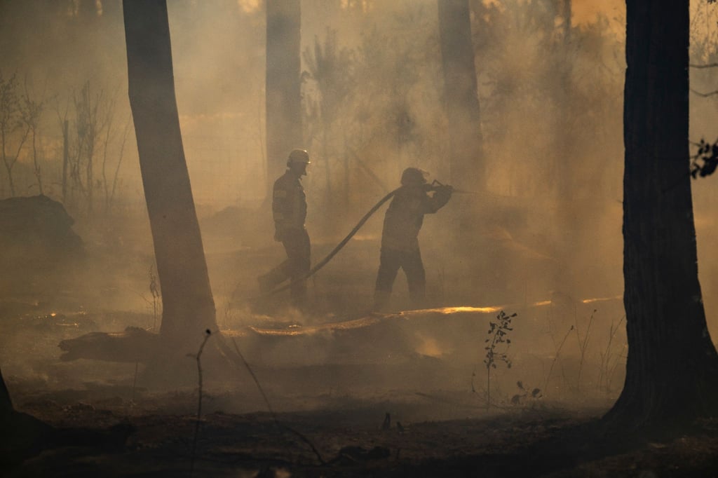 Feuerwehrleute bekämpfen einen Waldbrand.