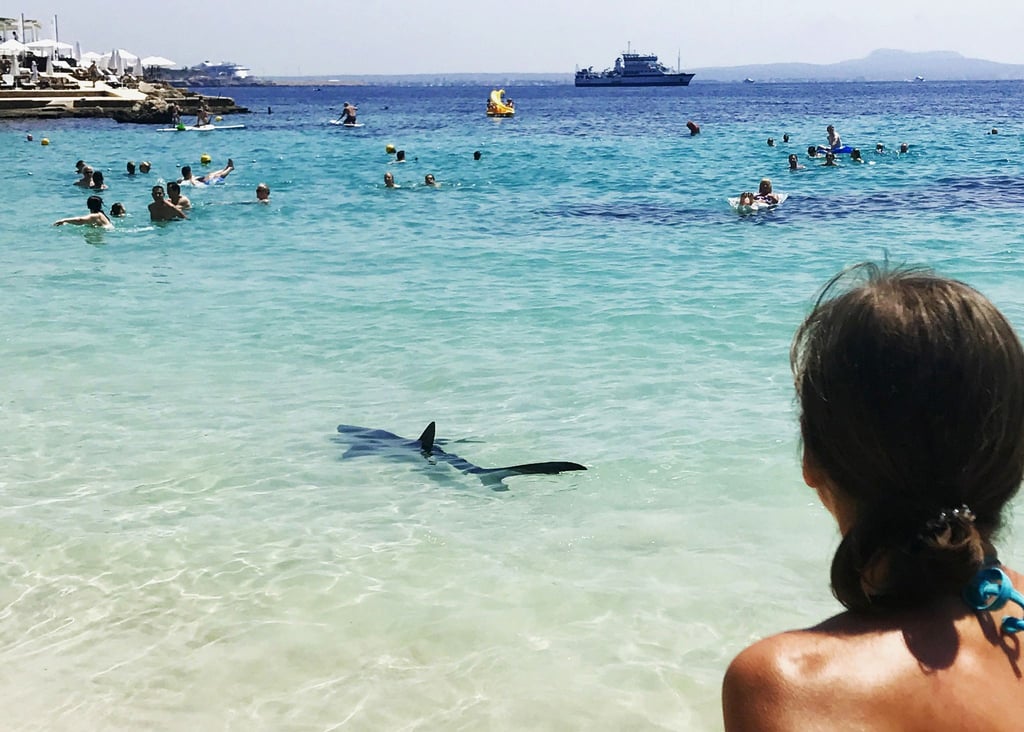 Ein Hai schwimmt durch flaches Wasser auf Mallorca und erschreckt Badegäste.