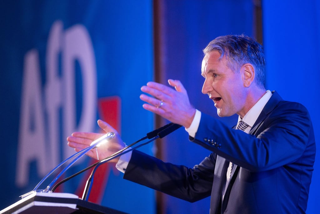 Björn Höcke, AfD-Landessprecher.