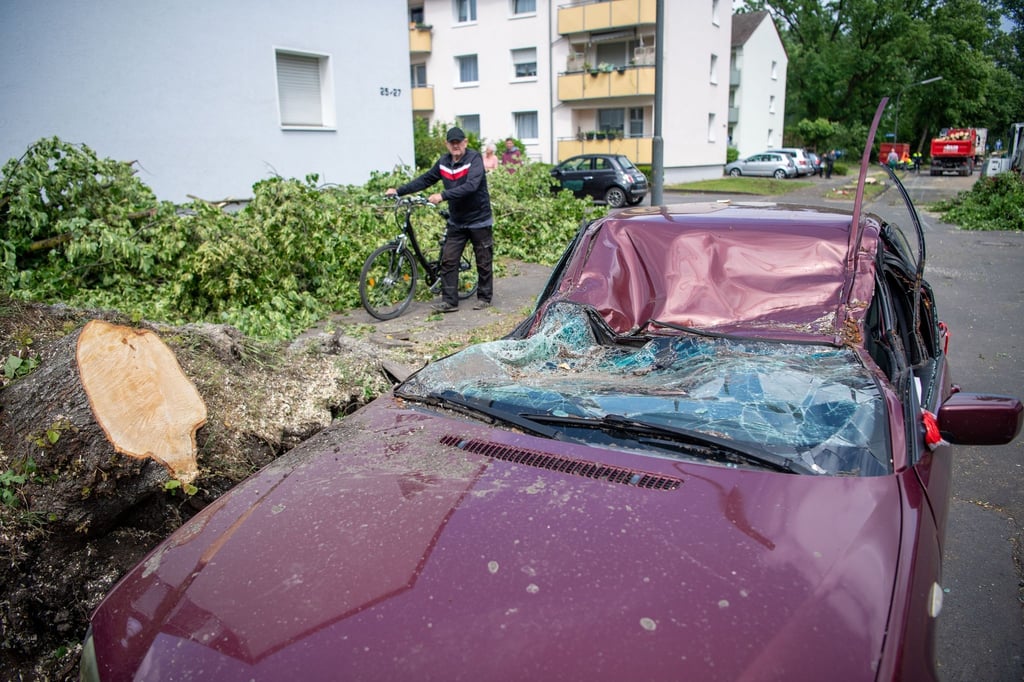 Ein Mann geht nach einem Sturm an einem durch einen umgestürzten Baum zerstörten Auto vorbei.