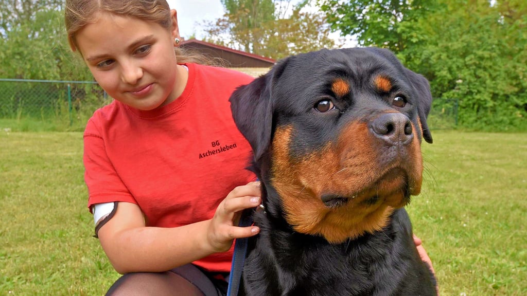 Die elfjährige Selina geht bei der zehnten Salzlandschau mit Allie von der Goldquelle an den Start.