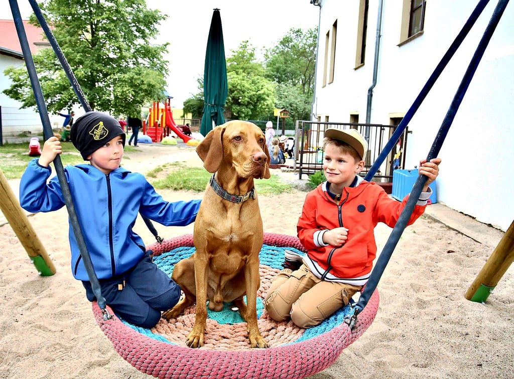 Kindergartenhund Pablo steht im Mittelpunkt des Alltags der „Parkwichtel“, wie hier für die beiden sechsjährigen Jungs Timo (links) und Linus.