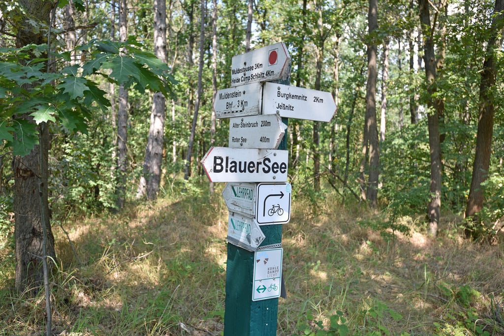 Der neue Weg schließt Lücken zwischen bestehenden Pisten im Wald bei Burgkemnitz.