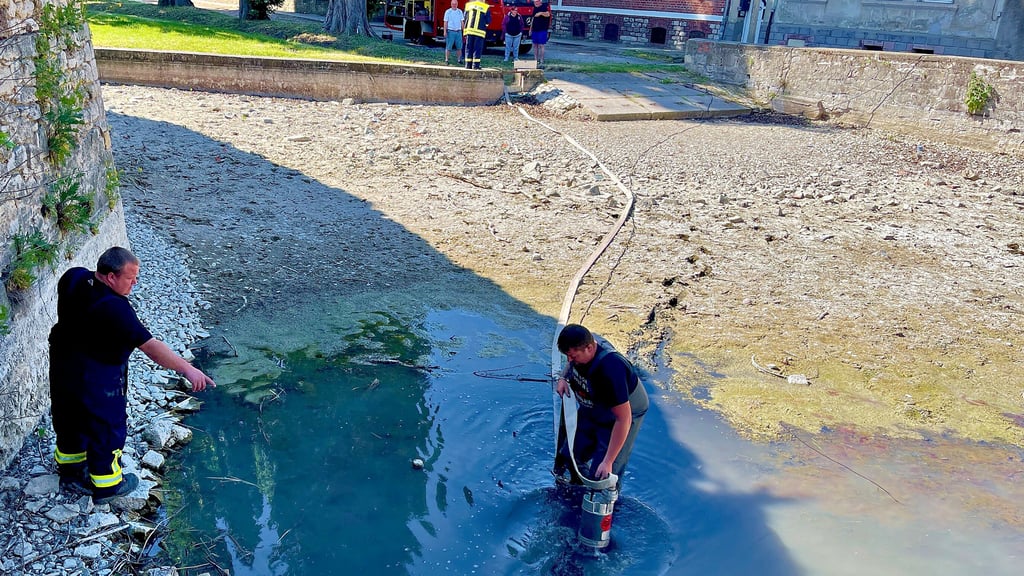 Mit Wathose und Tauchpumpe zur Fischrettung angerückt: Kameraden der Feuerwehr leeren die Pfütze des Krüppelteichs und suchen nach Fischen.