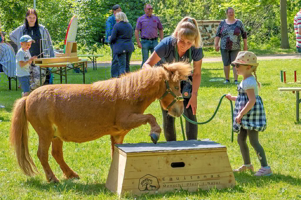 Lara Kluge aus Teuchern hat es das Shetlandpony Paco angetan. Das Tier hatte die Gemeinnützige Reitsportgesellschaft Equitanas aus Zeitz mitgebracht. In Begleitung von Übungsleiterin Christina Madry durfte das Kind die Zügel nehmen.