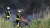 Brand an der alten Tonkuhle in Aschersleben: Auch illegal entsorgte Autoreifen sorgen für viel schwarzen Rauch.