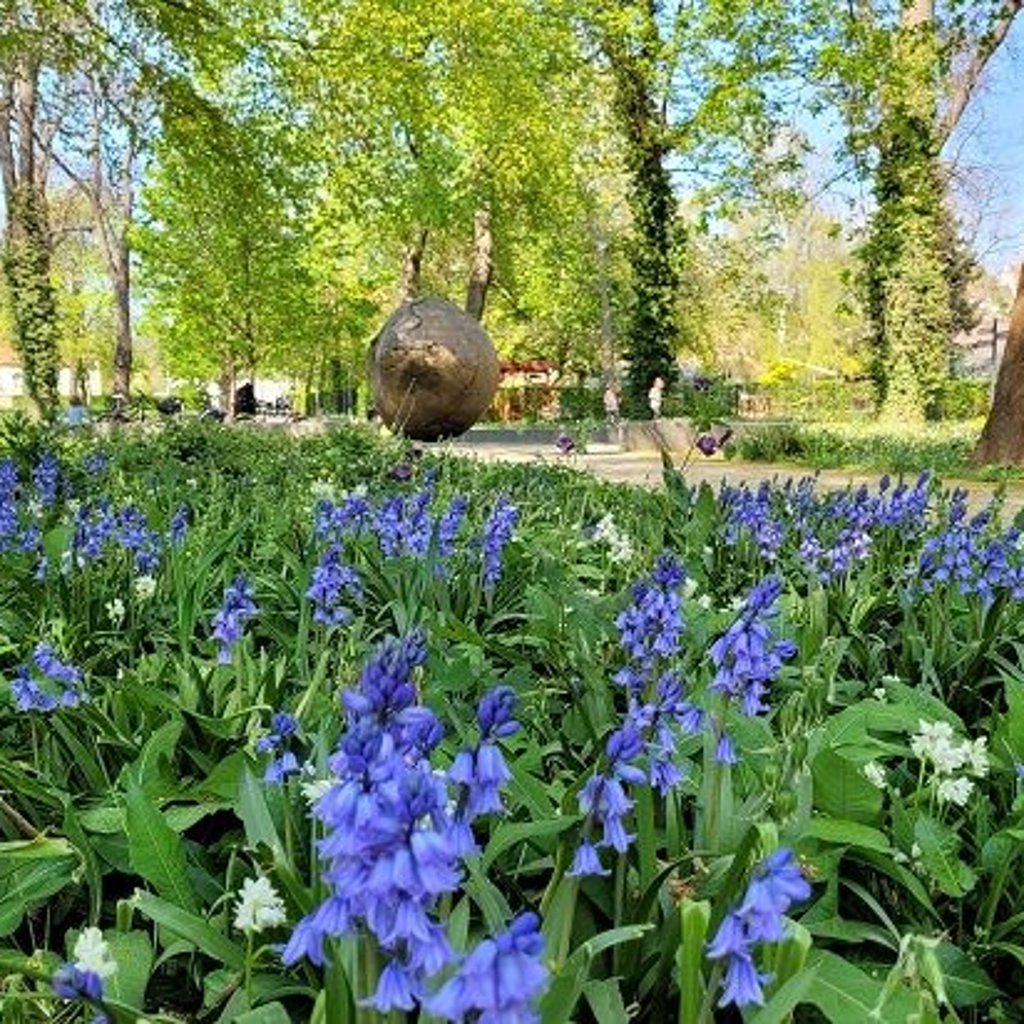 Im Stadtpark Aschersleben geht es für Kinder am 3. Juni auf Vogelstimmenexkursion