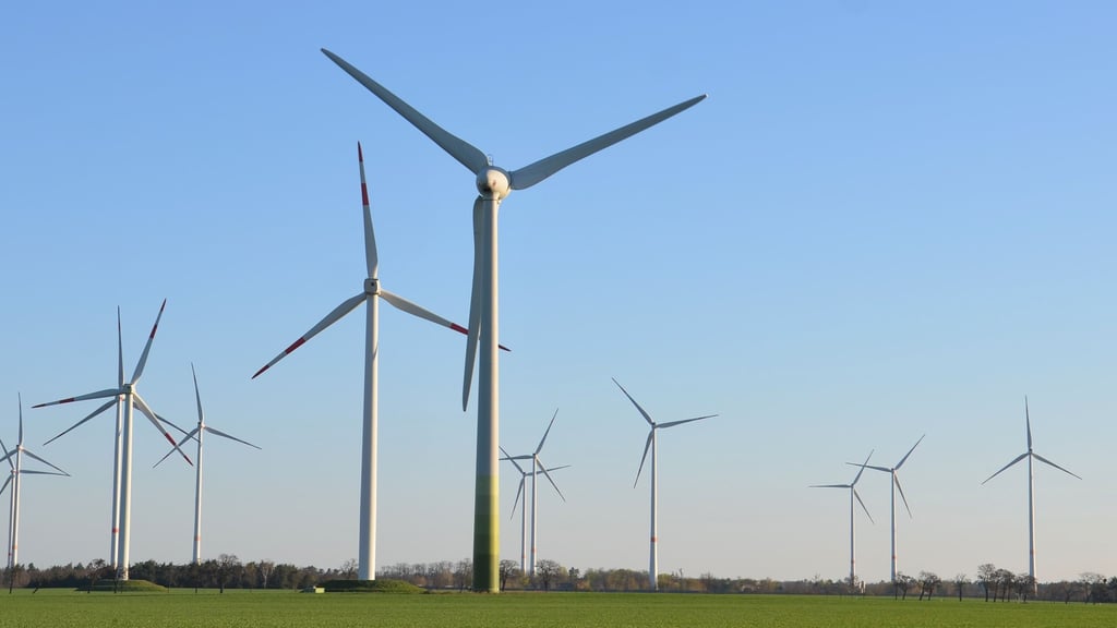Nordöstlich von Zerbst drehen sich bereits einige Windräder, zwischen Leps und Niederlepte könnten weitere hinzukommen.