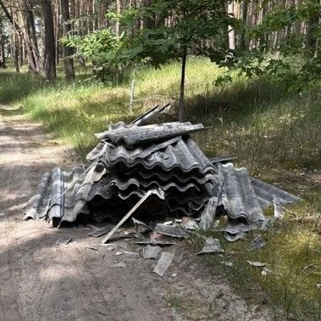 Diese Asbestplatten wurden bei Reesen, einem Ortsteil von Burg, entdeckt.