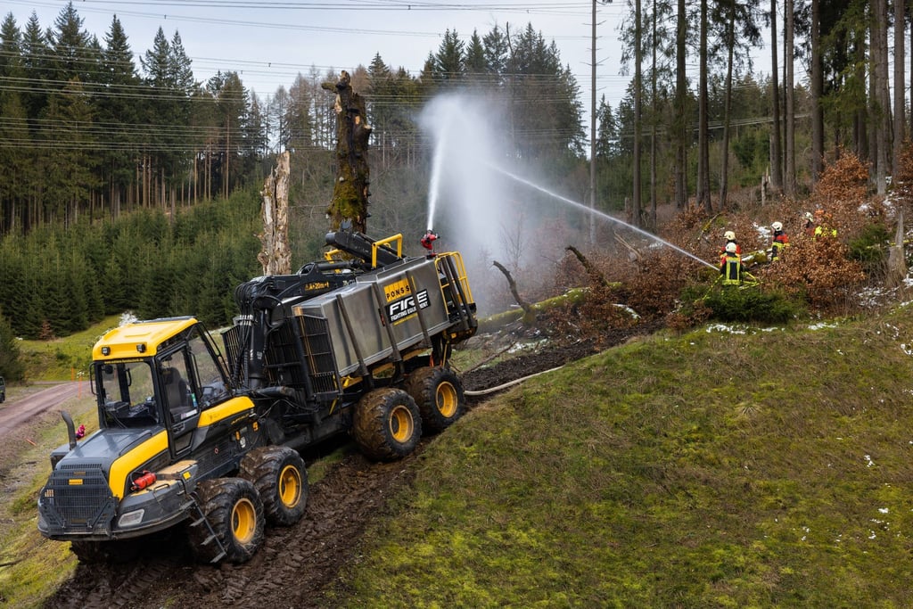 Feuerwehrleute üben die Bekämpfung eines Waldbrandes.